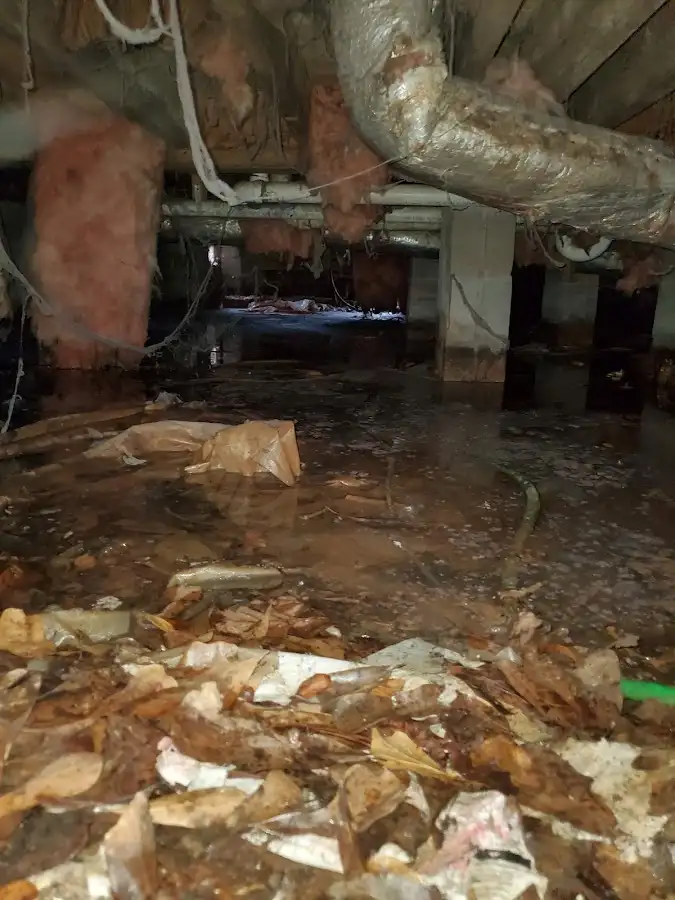 Crawl space flood assessment for Leak Detection & Repair in Wood-Ridge
