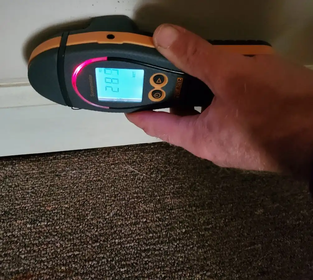 Moisture detection at baseboard during Sewage Cleanup & Sanitation in Wood-Ridge